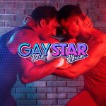 Gay Pornstar Harem